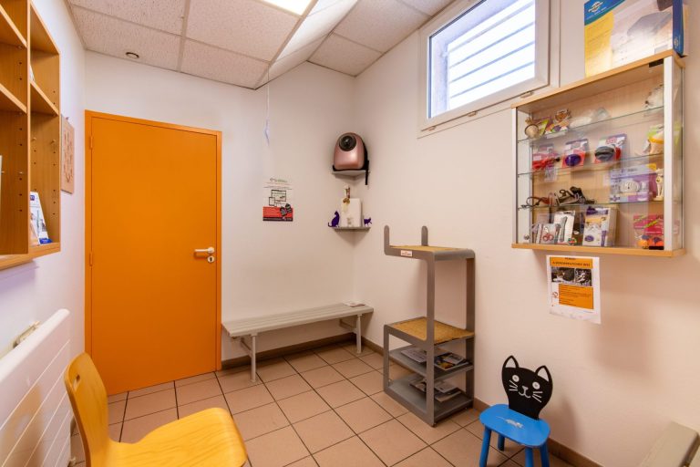 tarbes tarbes 5