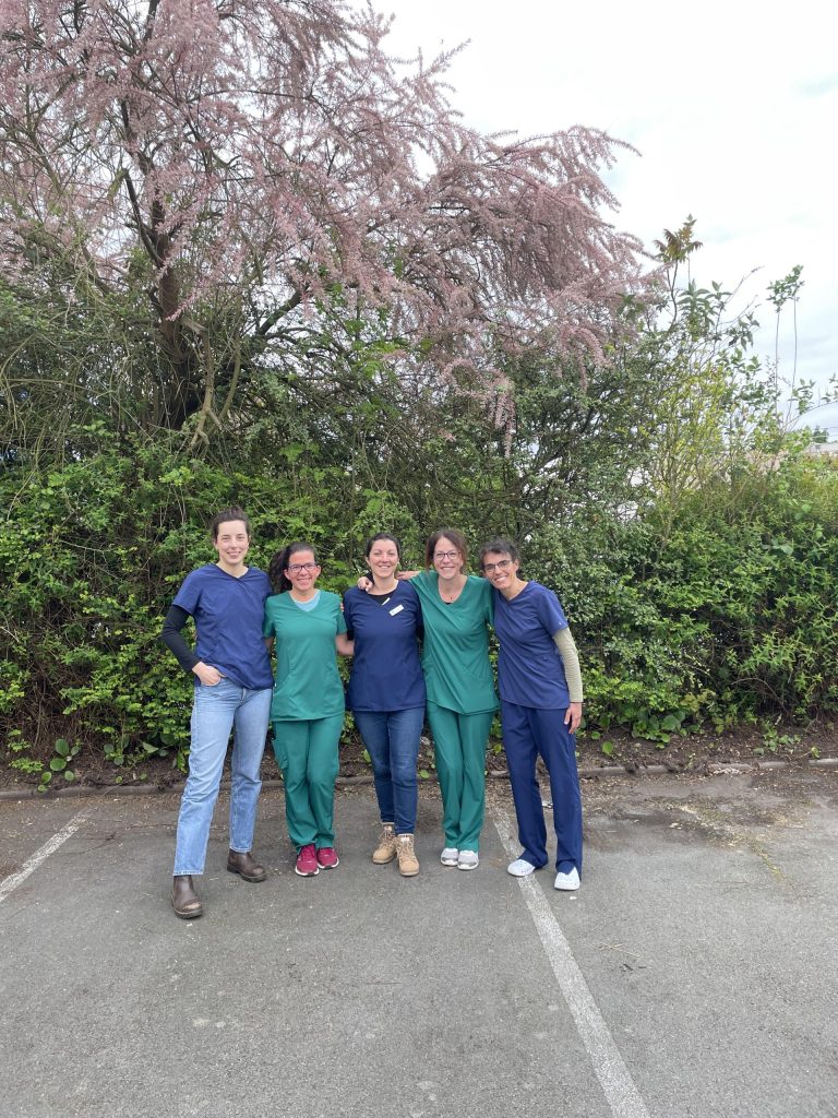 thumbnail équipe le rheu