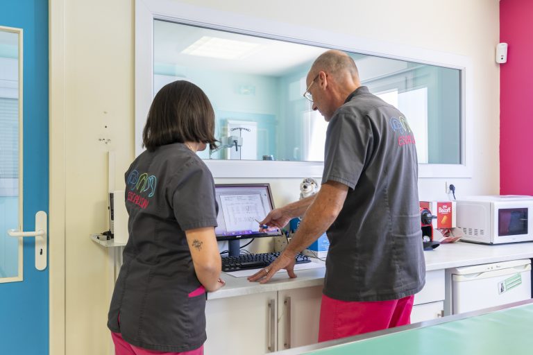 clinique vétérinaire de l'escaillon martigues 16