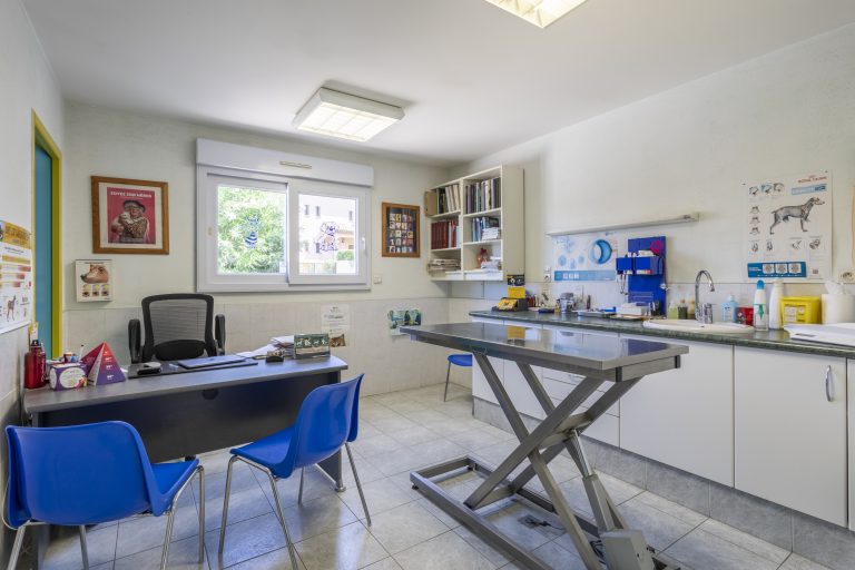 clinique vétérinaire de l'escaillon martigues 2