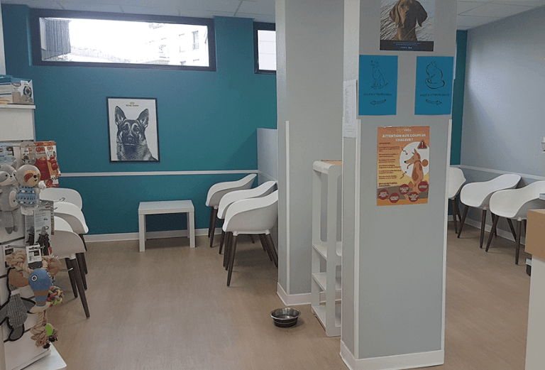 salle d'attente clinique vétérinaire montrouge