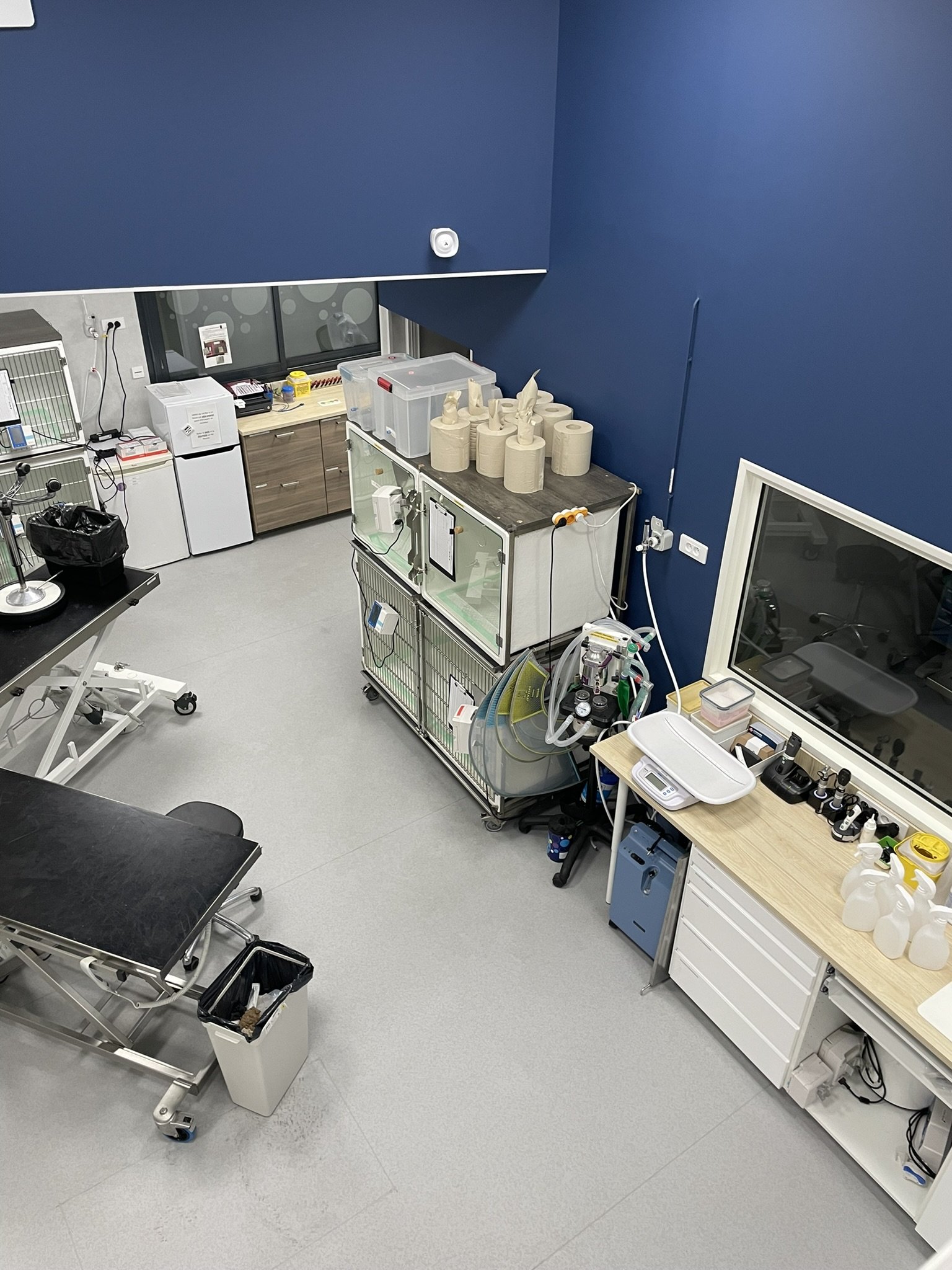 Salle d'urgence vétérinaire
