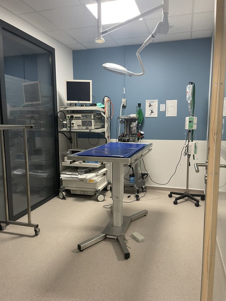 Salle de chirurgie vétérinaire
