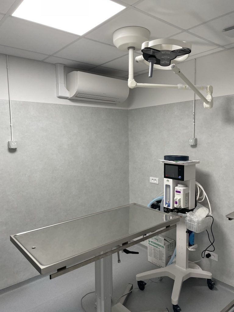 Salle de chirurgie chien et chat