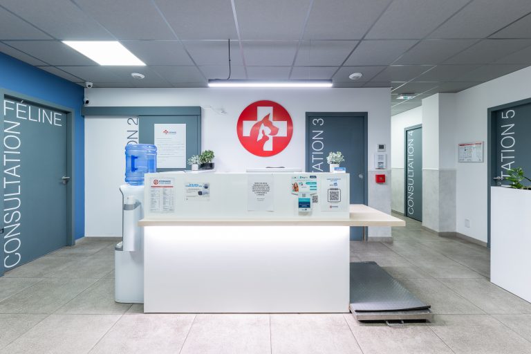 V2TU Lyon Saint-Priest 1