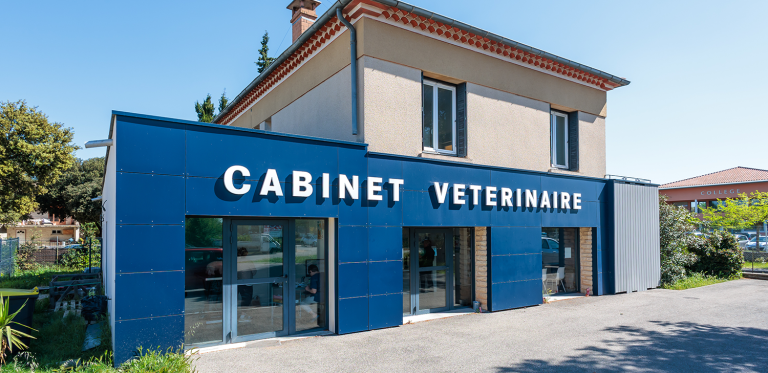 sainte cécile des vignes mon véto