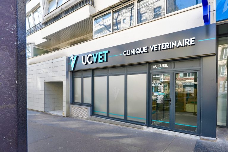monveto ucvet paris 1