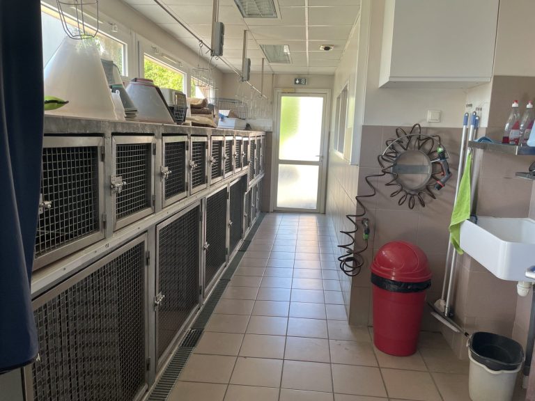salle d'hospitalisation