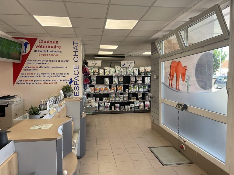 accueil clinique vétérinaire