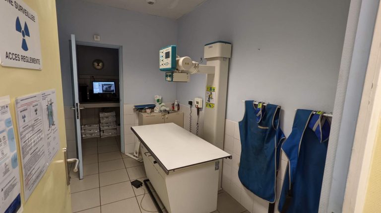 salle radiologie vétérinaire