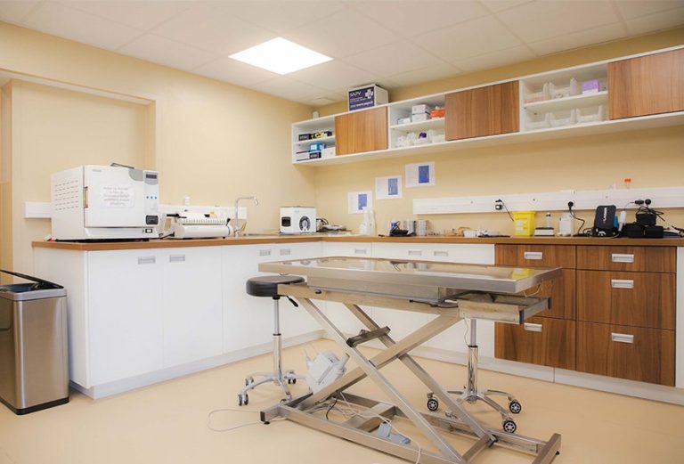 salle de soins chien