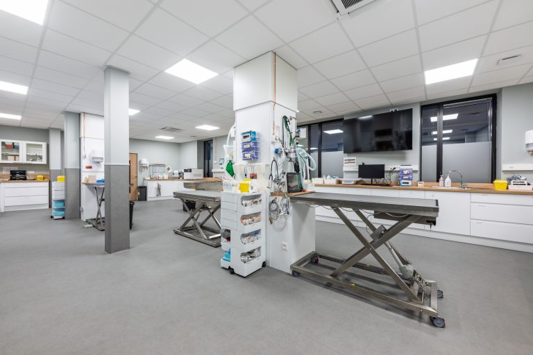 Clinique Vétérinaires 2 Toute Urgence Lille 4