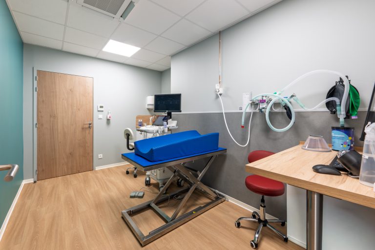 Clinique Vétérinaires 2 Toute Urgence Lille 5