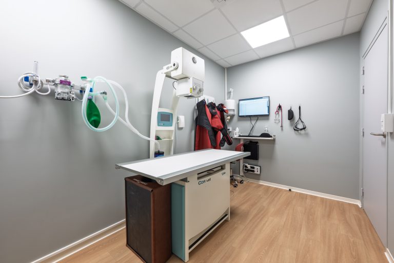 Clinique Vétérinaires 2 Toute Urgence Lille 6