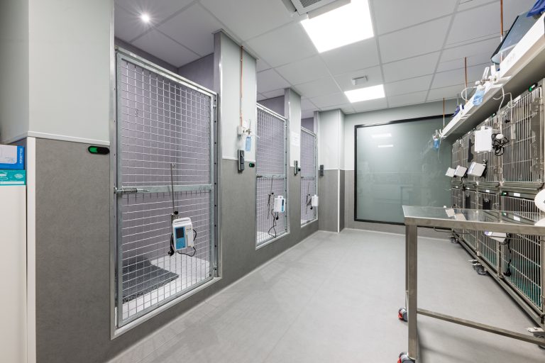 Clinique Vétérinaires 2 Toute Urgence Lille 7