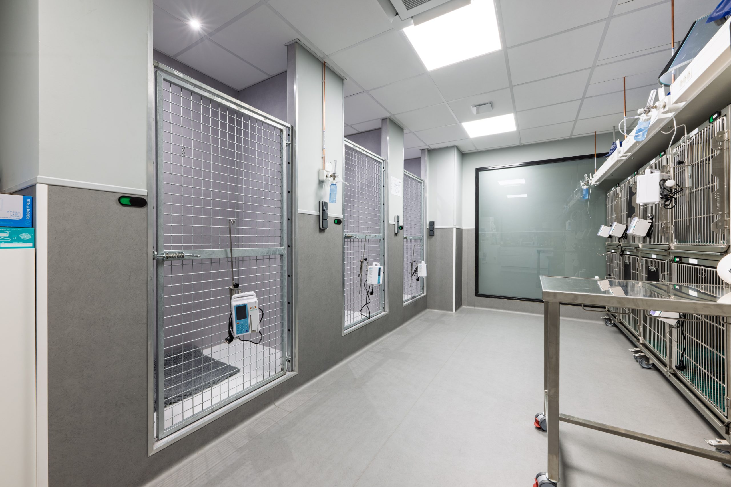 Clinique Vétérinaires 2 Toute Urgence Lille 7