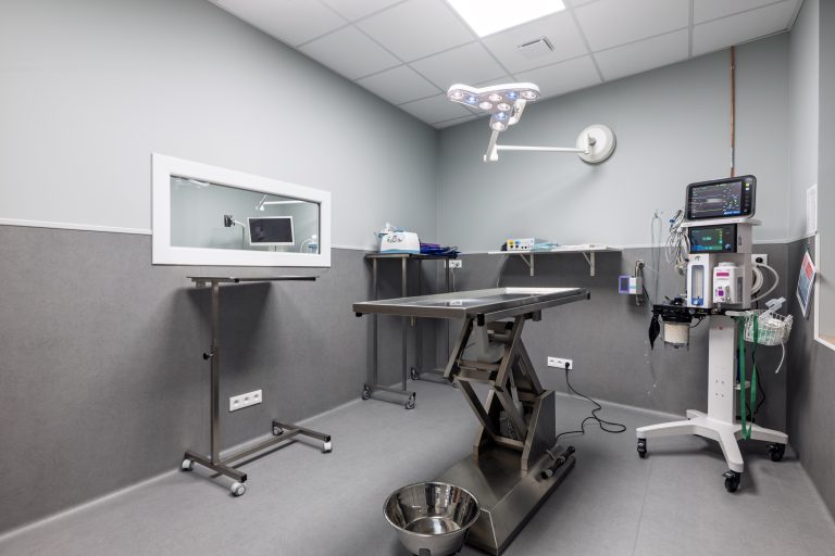 Clinique Vétérinaires 2 Toute Urgence Lille 8