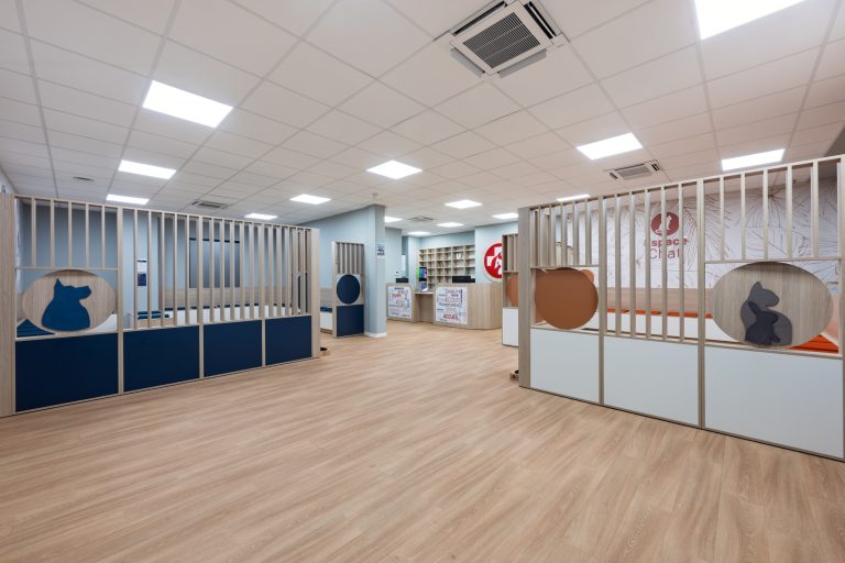 Clinique Vétérinaires 2 Toute Urgence Lille 1