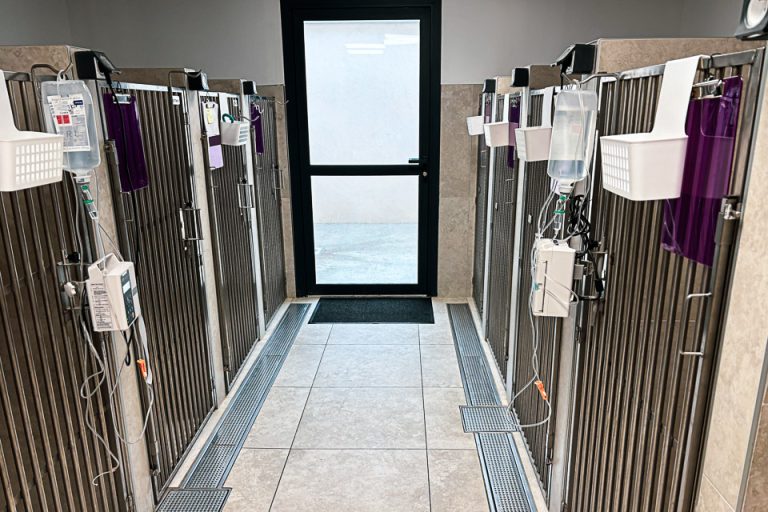 chenil urgence veterinaire avignon