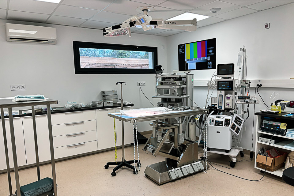 salle chirurgie urgence veterinaire avignon