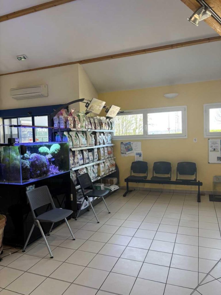 accueil salle d'attente
