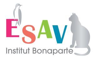 logo esav couleurs 2048x1448 (1)