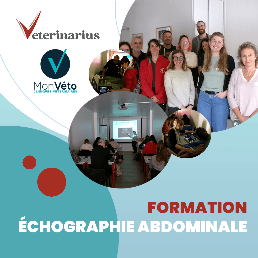 formation échographie abdominale