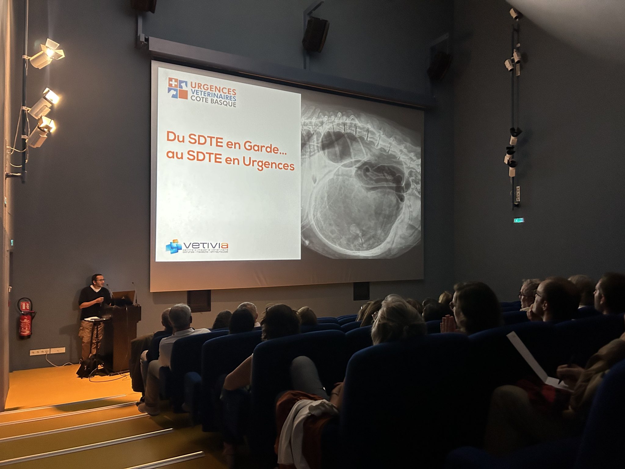 opportunités formation MonVéto