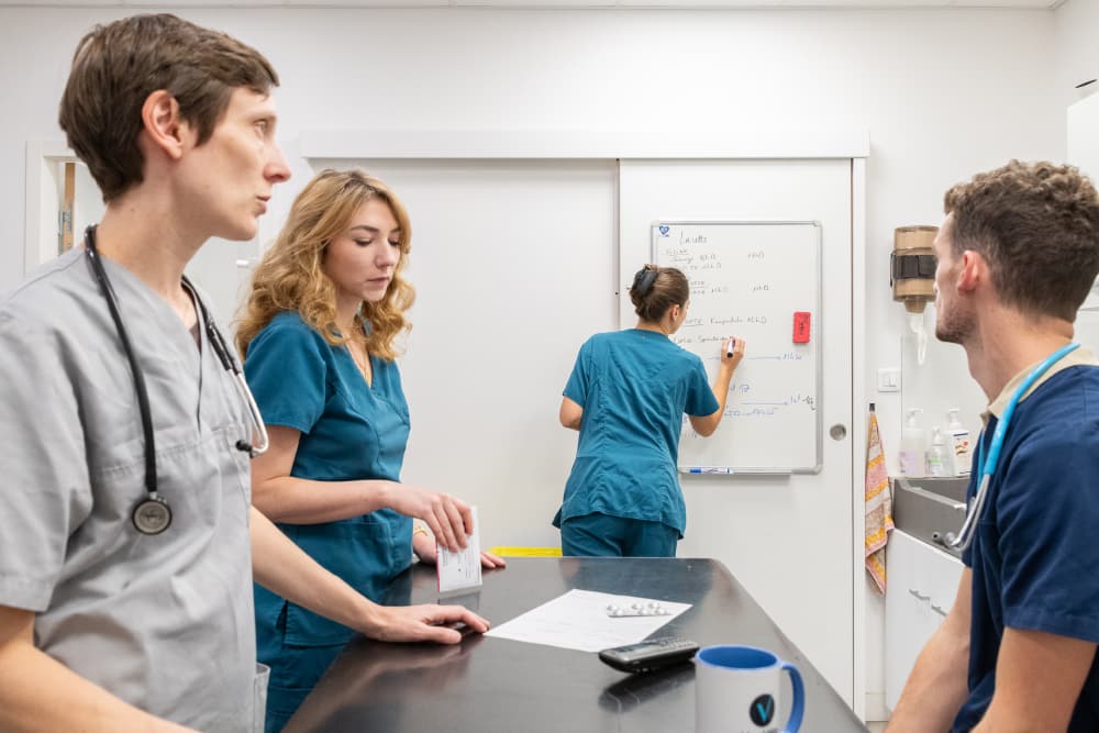 article pourquoi un réseau1.echanges equipesveterinaires header