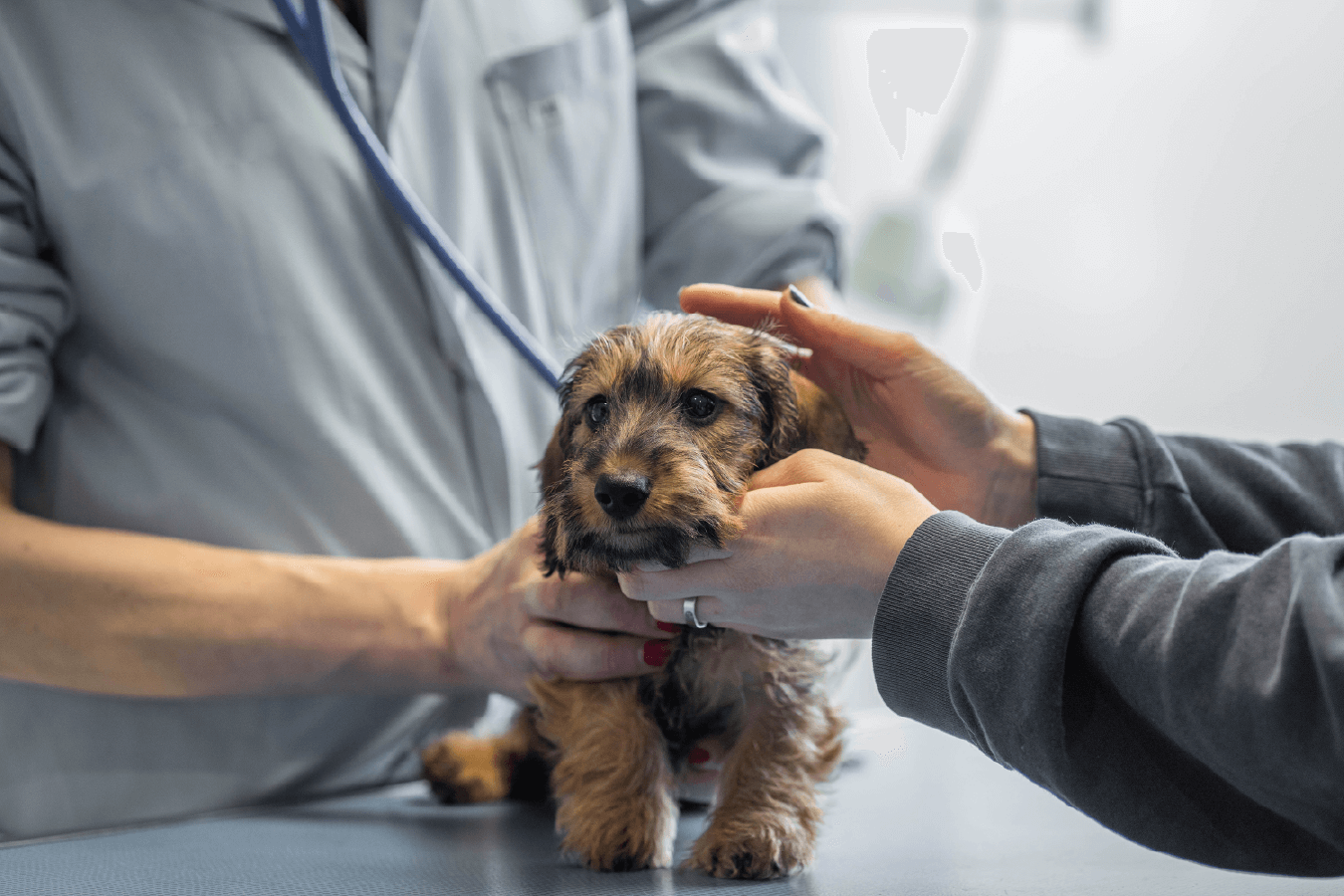 photo bloc activité principale